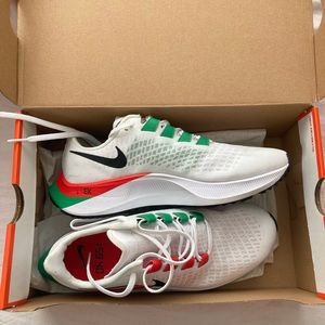 Nike air zoom Pegasus